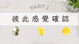 彼此感覺確認Part 1「無時間限制」｜塔羅占卜+占卜小物｜Ora Tarot