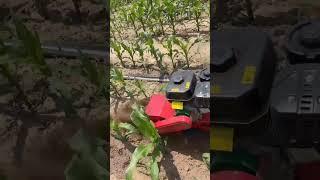 Cash on delivery Mountain slope orchard greenhouse corn field pepper field micro tillage machine..