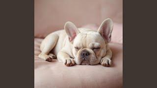 Happy Dog Dreamland