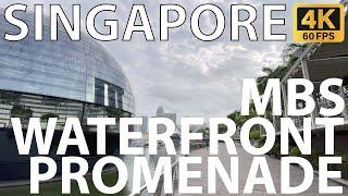  Marina Bay Waterfront Promenade (Lower Broadwalk) Walking Tour [4K 60fps]