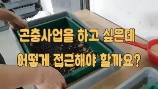 [곤충농장창업] 1화. 곤충농장의 시작과 끝...그 시작