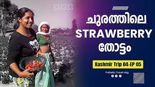 Surprise cake cutting and Strawberry Plantation   | Kashmir Trip 04 | EP -  05 |  Jelaja Ratheesh |