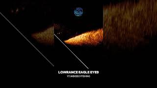 Finally some footage from #lowrance Eagle Eye 9 Lure: #rapalafishing #crushcity FreeLoader