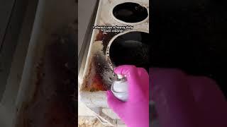 How I get greasy dirty stove tops sparkley clean again 