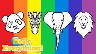 Colorful Animals | Colors of the Rainbow