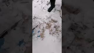 03.04.2020г.ФАКТ2МАКСИМАЛЬНО РАСПРОСТРАНИТЬМЫ УСТАЛИ МОЛЧАТЬ И БЫТЬ БЫДЛОМ ДЛЯ НИХ ИДЁМ ДО КОНЦА