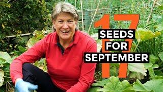 What to sow in September | Easy to grow | Veggie seeds for September