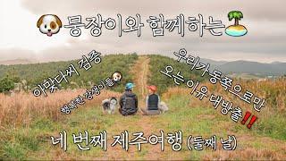 [제주도️쀼이로그] 온러닝 신고 오름투어 하는 세바쀼️(둘째 날) | 제주도는 옷사러 오는 곳 아냐? | 반려견과 함께 제주도여행🫰