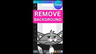 How to Remove the Background of an Image in Canva