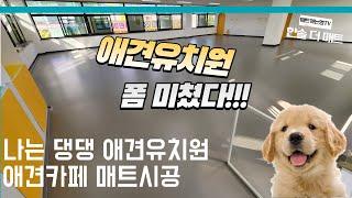 [전북 김제 나는 댕댕 애견 유치원 강아지 매트 시공] 애견 카페 폼 미쳤다!!!(한솔더매트)