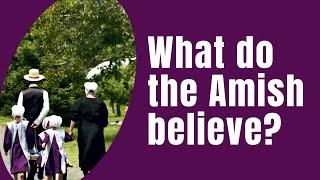 What do the Amish believe?