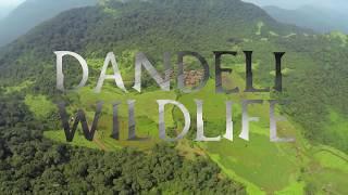 DANDELI WILDLIFE