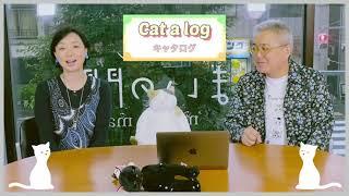 【まいネコ】毎日がネコ曜日日曜日版＃33　ゲスト：姉川美紀さん＆Cat a log「仔猫だった」