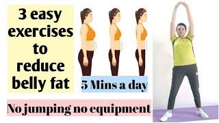 3 easy exercises to reduce belly fat ll lose belly fat