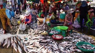 Cambodian Fish Market Show @Kilo 9 - Amazing Site Distribute Rural Fish, Alive Fish, Seafood & More