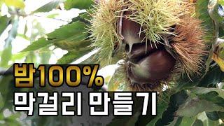 막걸리 만들기! - 밤 100% 막걸리 만들기 (한글 자막도 있습니다)