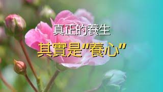 養心之道：揭示真正的養生之秘