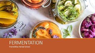 Nutrition Class: Lactofermentation (PrairieWise Herbal School)