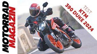 Kampfzwerg – KTM 390 Duke 2024 im Test – Kurvenwetzen, Stunts, Gymkhana – Klein, kompakt, krass