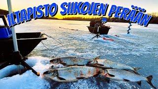ILTAPISTO JA SIIAT | ESITELLÄÄN OTTIMORRIT #KALASSA61