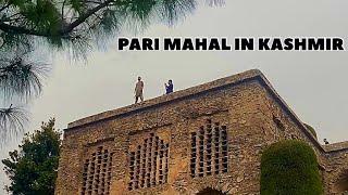 Kashmir Pari mahal | located in srinagar | Kashmir's Hidden Gem! #parimahal #kashmir