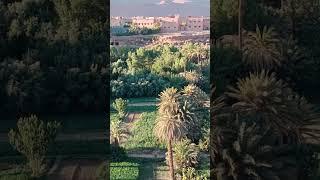 "Tranquil Beauty: Exploring Todgha Oasis in Tinghir, Morocco"