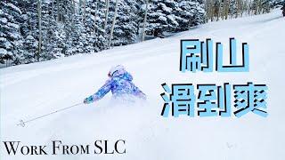 滑雪一天刷完Alta和Snowbird两个雪场 山里竟然还有隧道？