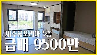 N.252401 서귀포시 서호동 제주유포리아지산 5층 초급매 9,500만 물건 소개합니다.