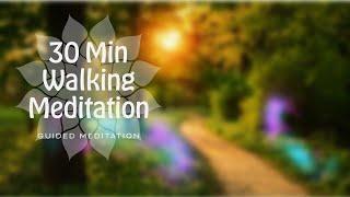 30 Min Walking Meditation - Reflect & Connect in Nature