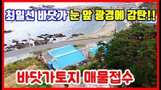 바닷가 주택 전원주택 풀빌라 펜션부지 토지 땅 매물접수 포항 경주 영덕 울진  바닷가토지매매 바닷가땅 바닷가 주택 매매 바닷가 시골집 바닷가 촌집 전원주택  #착한부동산