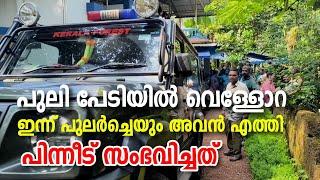 Vellora | Tiger | Attack | പുലി പേടിയിൽ വെള്ളോറ. ഇന്ന് പുലർച്ചെയും അവൻ എത്തി. പിന്നീട് സംഭവിചത്