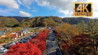 2024河口湖の紅葉 (4K-HDR, FPV ドローン) Autumn Foliage At Lake Kawaguchi