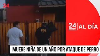 Muere niña de un año tras ser atacada por perro pitbull en Talca | 24 Horas TVN Chile