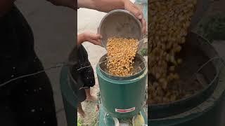 Feed Pellet Machine with Inclined Rollers for Balanced Pressure and Extended Durability