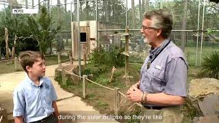 FOX10 Extra: Alabama Gulf Coast Zoo Director Joel Hamilton on animals and the eclipse