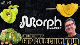 Insane Green Tree Python Collection Tour With Bill Stegall Of Phoenix Reptiles | MorphMarket Vlog-11