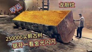 花250000买颗千年古树，锯开一看金光闪闪，该用来做什么【老蒋根雕】