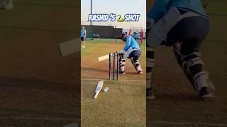 Rashid Khan you Beauty  #rashidkhan #ipl #delhicapitals #shorts #ytshorts #cricketfans