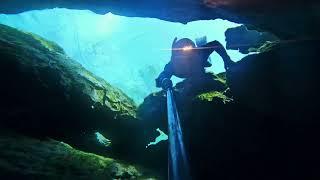 Freediving and scuba diving Cypress Springs Fla