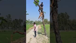 2.The boy was sitting under the tree, what happened next?