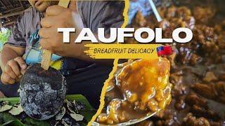 Our First Attempt at Making Taufolo and it was AWESOME | Super Delicious Breadfruit Recipe 