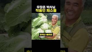 씨없는수박 우장춘박사의 숨은 업적 #이슈 #음식 #역사