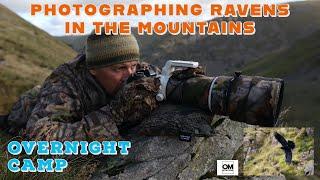 BIRD PHOTOGRAPHY/ RAVENS IN THE MOUNTAINS/ OVERNIGHT CAMP