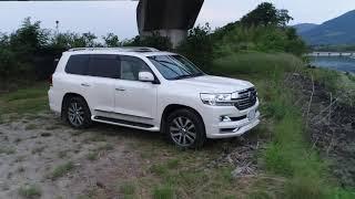 米津光×徳島トヨタ