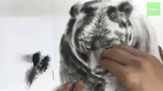 How to draw a Bear | step by step | MitGreen TV