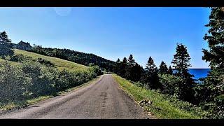 Forillon National Park Of Canada  - Unexpected Encounters with wild Red Foxes