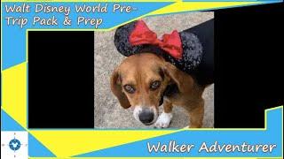 Walker Adventurer | Walt Disney World | July '21 - Pre-Trip Preparation