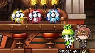 관종 개구릿대