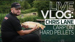 LIVE VLOG | Chris Lane | Pellets Short | Match Fishing