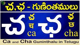 చ, ఛ గుణింతాలు | Ca, Cha gunintham | How to write Ca, Cha guninthalu |Telugu varnamala Guninthamulu